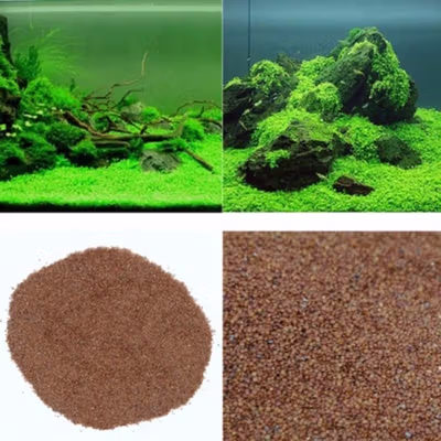 TaffHOME Bibit Rumput Air Dekorasi Aquarium Landscape Ornament - H0027 - No Color