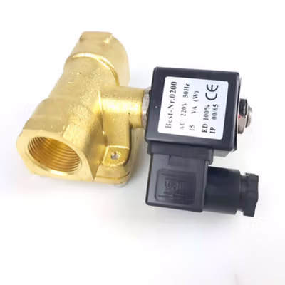BestNr Electric Solenoid Water Valve 220 V 1 Inch - 0927400 - Black