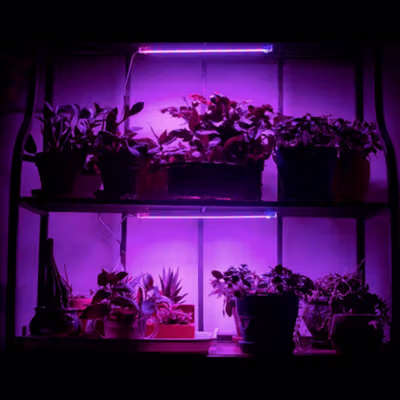 Greensindoor Lampu Tanaman Grow Light LED 2 Color Spectrum 5V 665nm - GSN01 - White