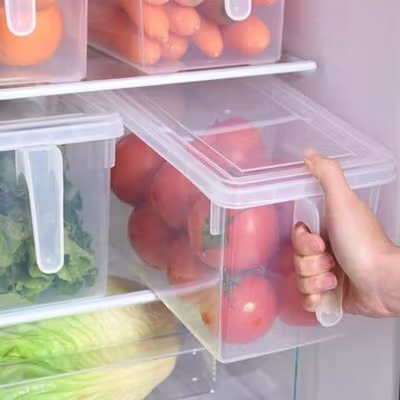 Strongwell Kotak Kontainer Makanan Kulkas Kitchen Storage Food Box - SW804-M - Transparent