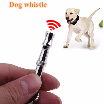 AZRI Peluit Latih Anjing Ultrasonik Stainless Steel Adjustable Pitch - A-55 - Silver