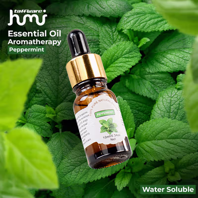 Taffware HUMI RHJY Essential Oils Fragrance Minyak Aromatherapy 10ml Mint - RD-20 - No Color