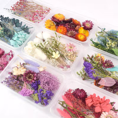 Inmilcia Bunga Kering Natural Aromatherapy Real Dried Flower Resin Art - A015 - Mix Color