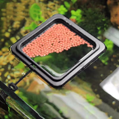 Aifeier Tempat Makan Ikan Aquarium Fish Feeding Ring Floating Feeder - AF106 - Black