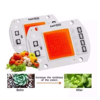 TaffLED Chip LED COB Lampu Tanaman Grow Light 1400K 50W 220V - COB4060-AC220-50 - White