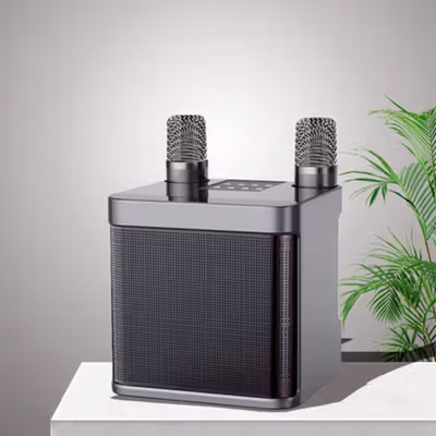 BAFOVY Speaker Bluetooth Portable Karaoke AUX with 2 Microphone 10W - WJ-A826/YS-203 - Black — gambar 1