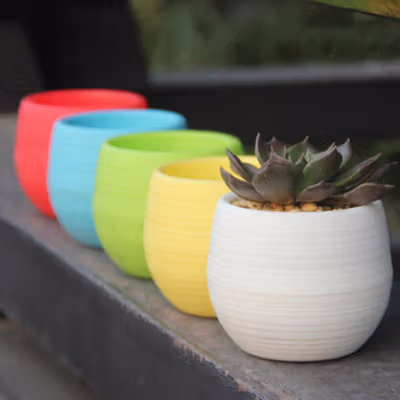 Mini Pot Bunga Hias Kaktus Tanaman 5 PCS - MC50 - Multi-Color — gambar 2