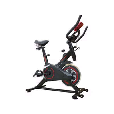 L-Felton Sepeda Statis Spinning Bicycle Exercise Indoor Gym Bike - LF110 - Black — gambar 2