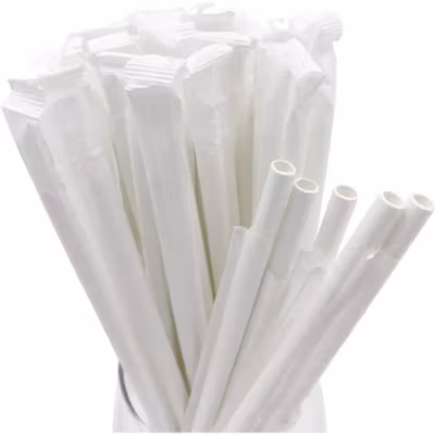 ETRSUNTECH Sedotan Kertas Steril Bungkus Eco Paper Straw 100 PCS - QW95 - White — gambar 2