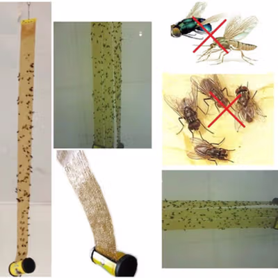 Hunters FLY Lem Perangkap Nyamuk Lalat Paper Strip Strong Glue 4 PCS - ZF-6001 - Yellow — gambar 2