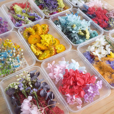 Inmilcia Bunga Kering Natural Aromatherapy Real Dried Flower Resin Art - A015 - Mix Color — gambar 2