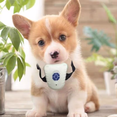 BarkSTOP Kalung Latih Anjing Ultrasonic Dog Anti Bark Stop Collar - CSH-B005 - White — gambar 2