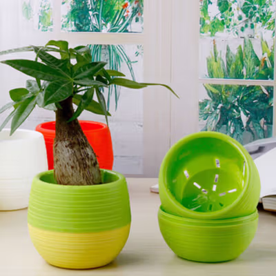Mini Pot Bunga Hias Kaktus Tanaman 5 PCS - MC50 - Multi-Color — gambar 3