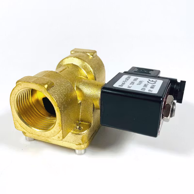 BestNr Electric Solenoid Water Valve 220 V 1 Inch - 0927400 - Black — gambar 3