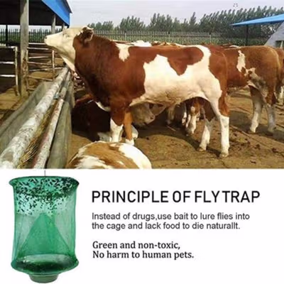 Jaring Perangkap Nyamuk Lalat Mosquito Fly Catching Mesh Net 23cm - J16 - No Color — gambar 3