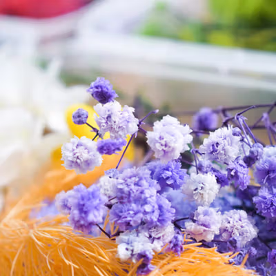 Inmilcia Bunga Kering Natural Aromatherapy Real Dried Flower Resin Art - A015 - Mix Color — gambar 3