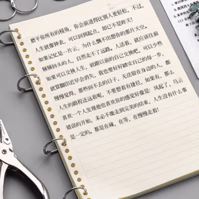 Feiyide Tang Pembolong Kertas Plier One Hole Punch 6mm - 1106 - Silver — gambar 3