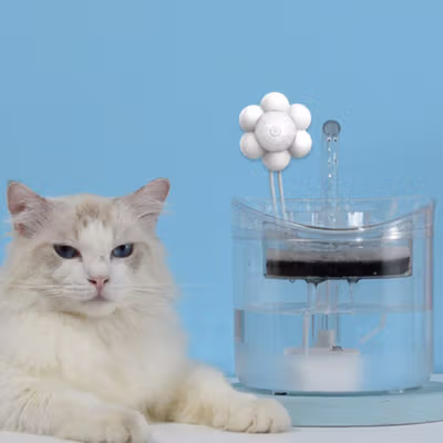 BEAUHOMES Motion Sensor Dispenser Minum Hewan Cat Water Fountain USB - GY010 - White — gambar 3