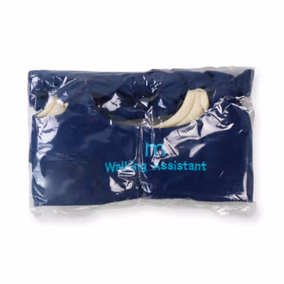 Alat Bantu Jalan Bayi Walking Assistant Baby - X101 - Deep Blue — gambar 5