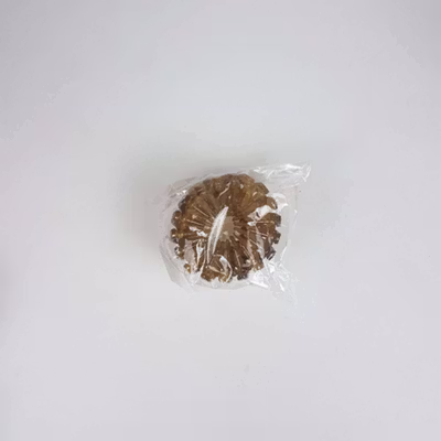 Meina Ikat Jepit Rambut Bun Hair Claw Horsetail Clip - ZC1906 - Bronze — gambar 5